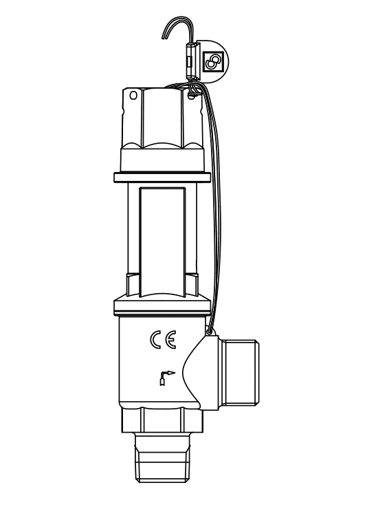 安全閥3030/66C,螺紋接口